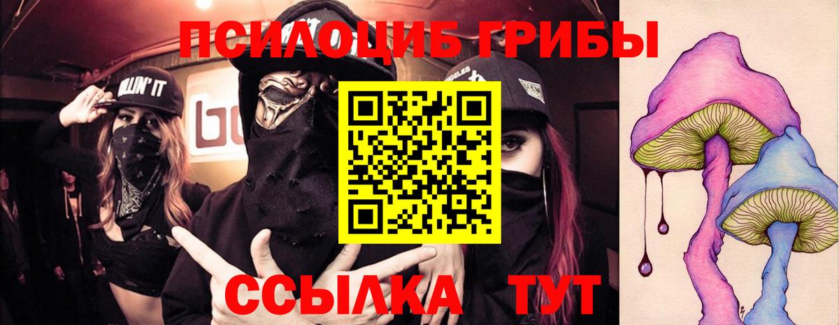 Псилоцибиновые грибы ЛСД  Галлюциногенные грибы мицелий  Вход с VPN  Аргун 