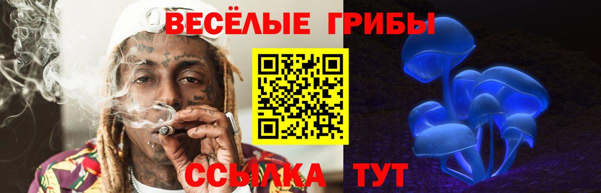 Псилоцибиновые грибы GOLDEN TEACHER Аргун
